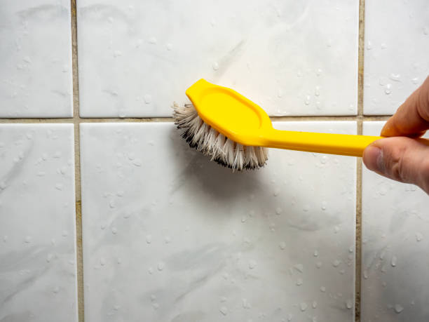 Trusted Murphy, MO Mold Removal Experts